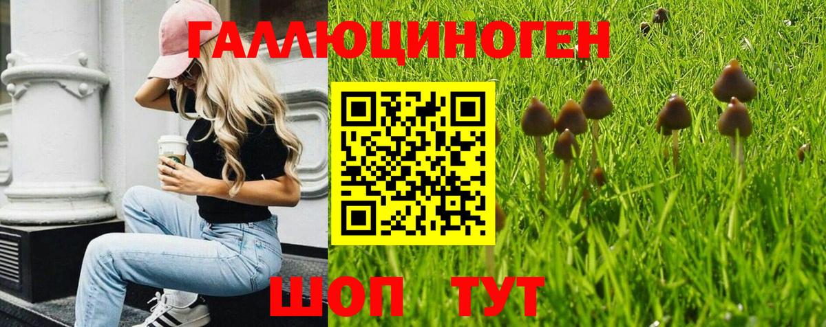 Уссурийск  Галлюциногенные грибы мицелий  Псилоцибиновые грибы Psilocybe  Вход с VPN 